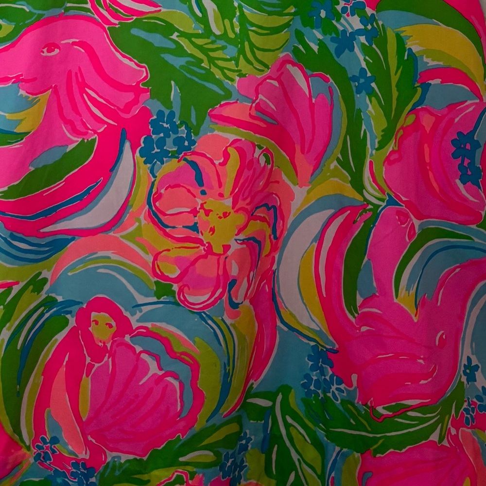 ✨Lilly Pulitzer Willow dress in So A-Peeling *RARE*